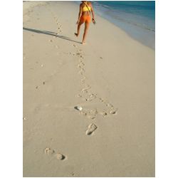 099_low_bay_barbuda.jpg