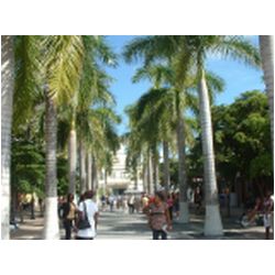 113_philipsburg_st_maarten.jpg