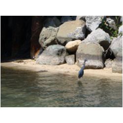 132_simpson_bay_lagoon_st_maarten.jpg