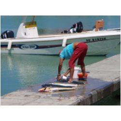 005_guadeloupe_port_louis.JPG