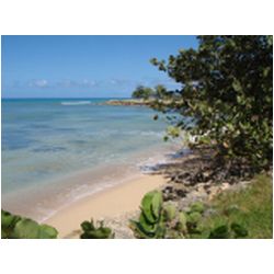 008_guadeloupe_port_louis.JPG