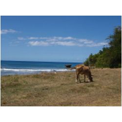 035_grande_terre_east_coast.JPG