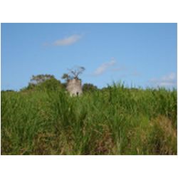 041_guadeloupe_grande_terre.JPG