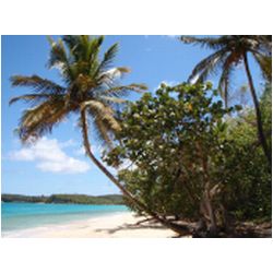 063_marie_galante_anse_canot.JPG