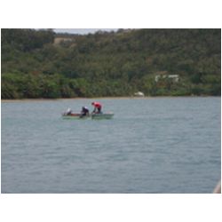 024_dominica_prince_rupert_bay.JPG