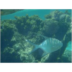 046_petite_terre.JPG