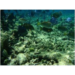 056_petite_terre.JPG