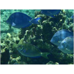 057_petite_terre.JPG