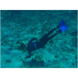 061_petite_terre.JPG