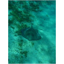 064_petite_terre.JPG