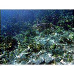 068_petite_terre.JPG