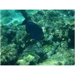 069_petite_terre.JPG