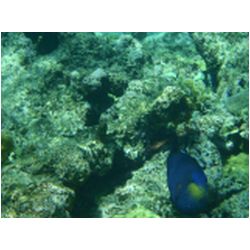 070_petite_terre.JPG
