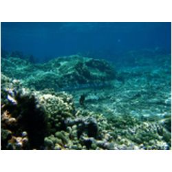 075_petite_terre.JPG