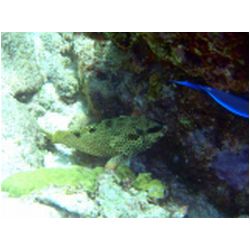 076_petite_terre.JPG