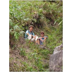 085_martinique_mont_pelee.JPG