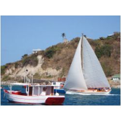 116_petite_martinique_regatta.JPG