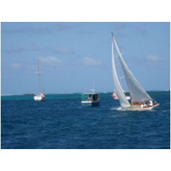 117_petite_martinique_regatta.JPG