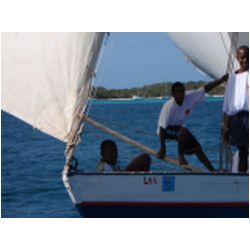 122_petite_martinique_regatta.JPG