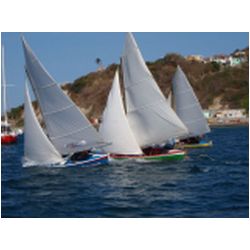 136_petite_martinique_regatta.JPG