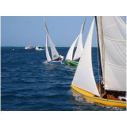 137_petite_martinique_regatta.JPG