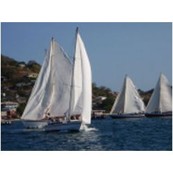 139_petite_martinique_regatta.JPG