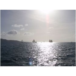 140_petite_martinique_regatta.JPG