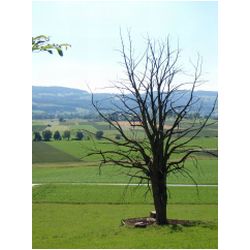 035_around_moenchi.JPG
