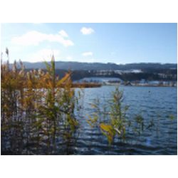 105_greifensee_herbst.JPG