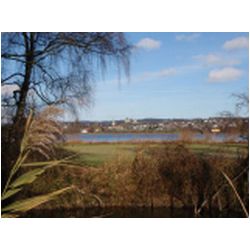 106_greifensee_herbst.JPG