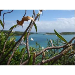 026_hog_island.JPG