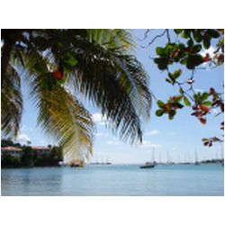 031_prickly_bay.JPG