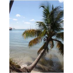 033_prickly_bay.JPG