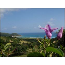 073_carriacou.JPG