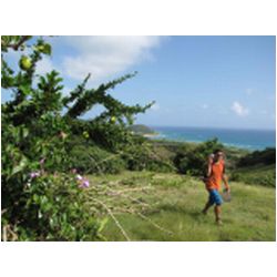 074_carriacou.JPG
