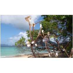 092_carriacou.jpg