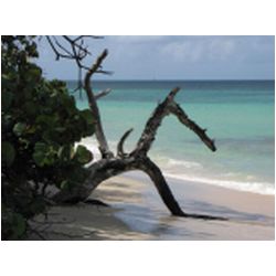 095_carriacou.jpg