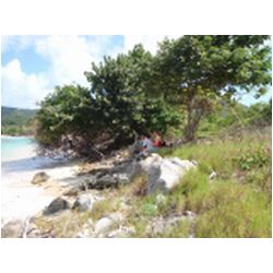 103_carriacou.JPG