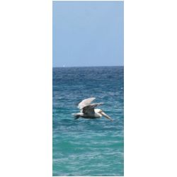 110_carriacou.JPG