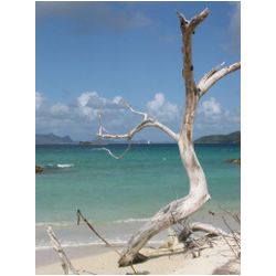 114_carriacou.JPG