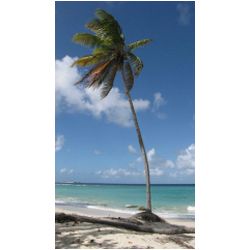 115_carriacou.JPG