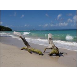 122_carriacou.jpg