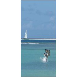 128_carriacou.jpg