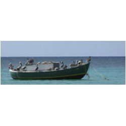130_carriacou.jpg