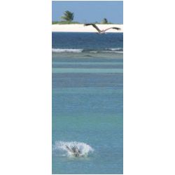 132_carriacou.jpg