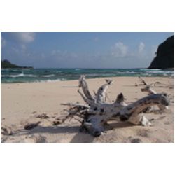 142_white_island.jpg
