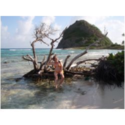 147_white_island.jpg