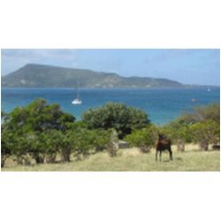 154_pt_martinique.JPG
