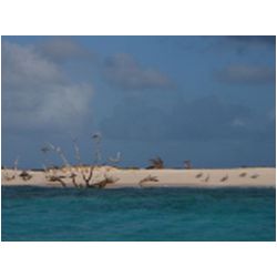 164_sandy_island.jpg