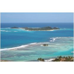 067_plam_island.jpg